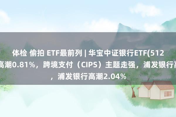 体检 偷拍 ETF最前列 | 华宝中证银行ETF(512800)早盘高潮0.81%，跨境支付（CIPS）主题走强，浦发银行高潮2.04%