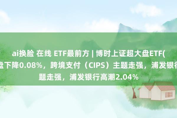 ai换脸 在线 ETF最前方 | 博时上证超大盘ETF(510020)早盘下降0.08%，跨境支付（CIPS）主题走强，浦发银行高潮2.04%