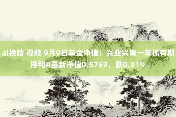 ai换脸 视频 9月9日基金净值：兴业兴智一年抓有期搀和A最新净值0.5769，跌0.91%