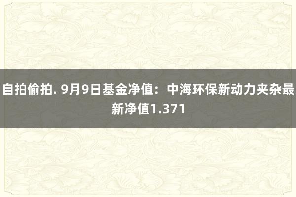 自拍偷拍. 9月9日基金净值：中海环保新动力夹杂最新净值1.371