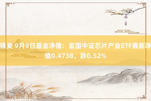 骚麦 9月9日基金净值：富国中证芯片产业ETF最新净值0.4738，跌0.52%