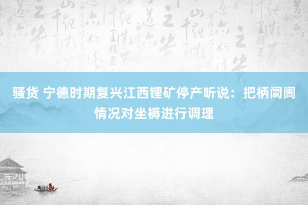 骚货 宁德时期复兴江西锂矿停产听说：把柄阛阓情况对坐褥进行调理