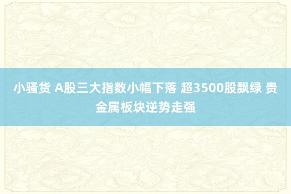 小骚货 A股三大指数小幅下落 超3500股飘绿 贵金属板块逆势走强