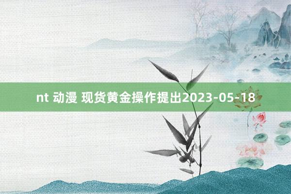 nt 动漫 现货黄金操作提出2023-05-18