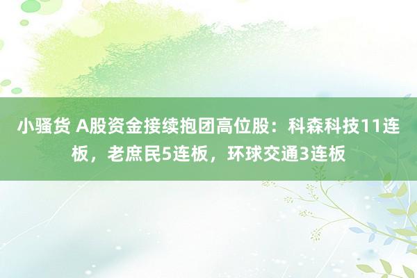 小骚货 A股资金接续抱团高位股：科森科技11连板，老庶民5连板，环球交通3连板