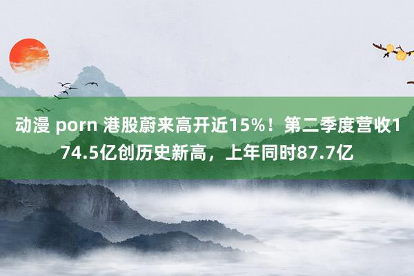 动漫 porn 港股蔚来高开近15%！第二季度营收174.5亿创历史新高，上年同时87.7亿