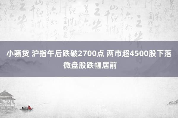 小骚货 沪指午后跌破2700点 两市超4500股下落 微盘股跌幅居前