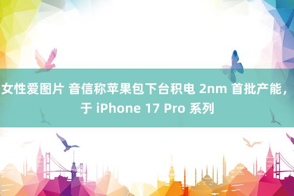 男女性爱图片 音信称苹果包下台积电 2nm 首批产能，用于 iPhone 17 Pro 系列