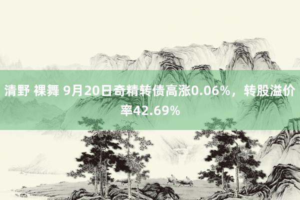 清野 裸舞 9月20日奇精转债高涨0.06%，转股溢价率42.69%