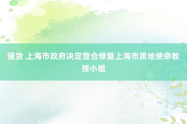 骚货 上海市政府决定整合修复上海市质地使命教授小组