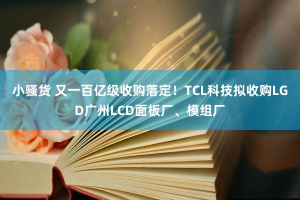 小骚货 又一百亿级收购落定！TCL科技拟收购LGD广州LCD面板厂、模组厂