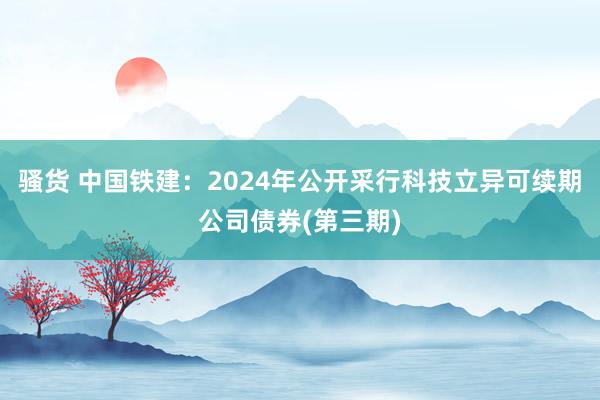 骚货 中国铁建：2024年公开采行科技立异可续期公司债券(第三期)