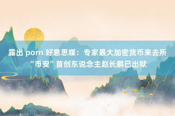 露出 porn 好意思媒：专家最大加密货币来去所“币安”首创东说念主赵长鹏已出狱