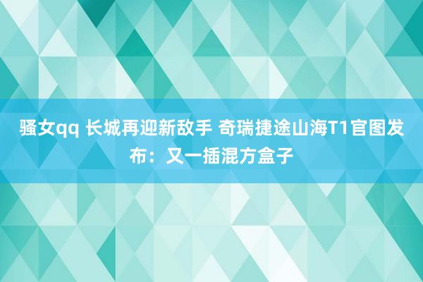 骚女qq 长城再迎新敌手 奇瑞捷途山海T1官图发布：又一插混方盒子