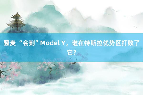 骚麦 “会剿”Model Y，谁在特斯拉优势区打败了它？