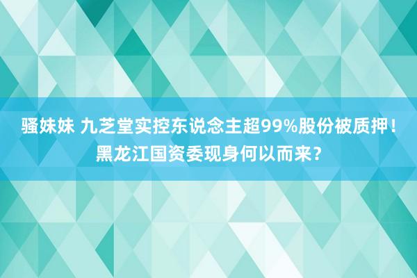 骚妹妹 九芝堂实控东说念主超99%股份被质押！黑龙江国资委现身何以而来？