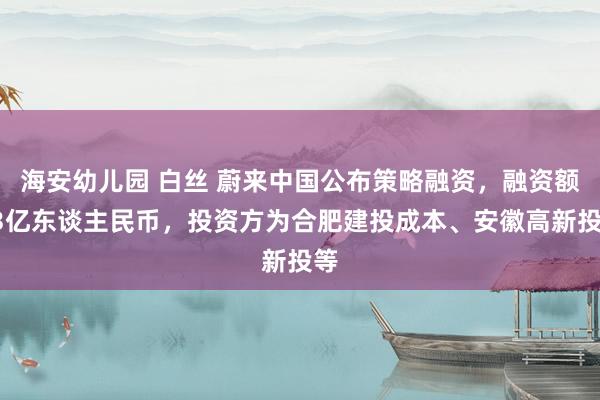 海安幼儿园 白丝 蔚来中国公布策略融资，融资额33亿东谈主民币，投资方为合肥建投成本、安徽高新投等