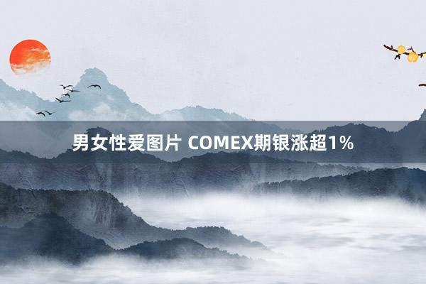 男女性爱图片 COMEX期银涨超1%