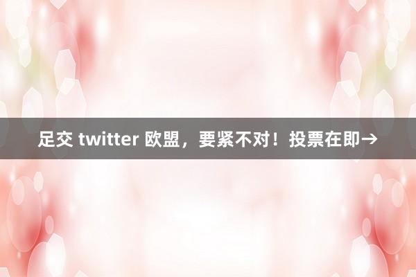 足交 twitter 欧盟，要紧不对！投票在即→