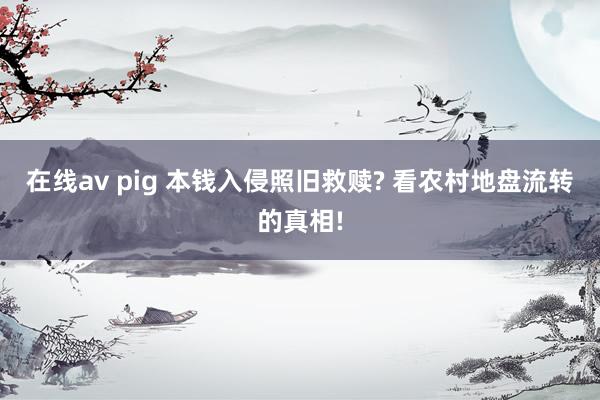 在线av pig 本钱入侵照旧救赎? 看农村地盘流转的真相!