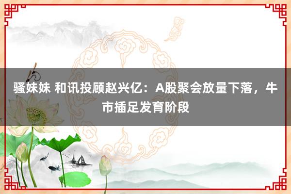 骚妹妹 和讯投顾赵兴亿：A股聚会放量下落，牛市插足发育阶段