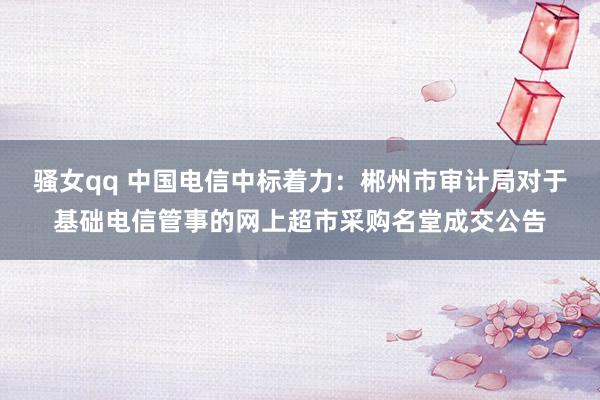 骚女qq 中国电信中标着力：郴州市审计局对于基础电信管事的网上超市采购名堂成交公告