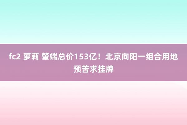 fc2 萝莉 肇端总价153亿！北京向阳一组合用地预苦求挂牌