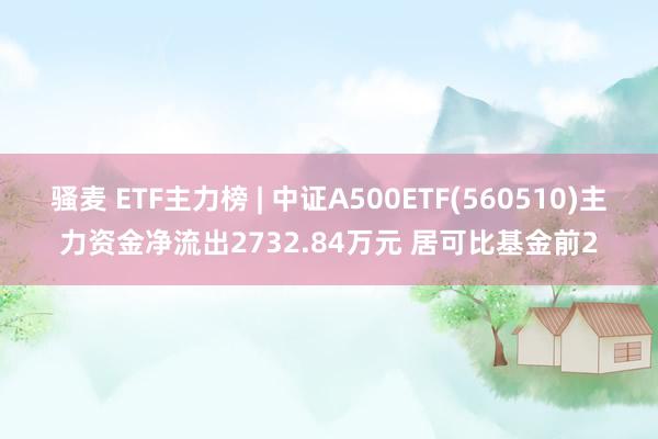 骚麦 ETF主力榜 | 中证A500ETF(560510)主力资金净流出2732.84万元 居可比基金前2