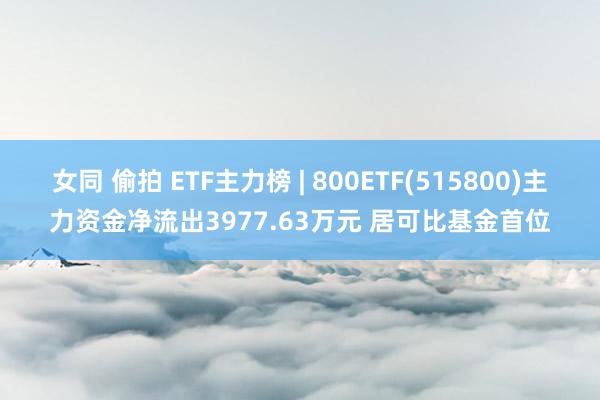 女同 偷拍 ETF主力榜 | 800ETF(515800)主力资金净流出3977.63万元 居可比基金首位