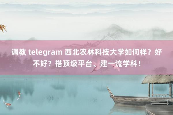 调教 telegram 西北农林科技大学如何样？好不好？搭顶级平台、建一流学科！