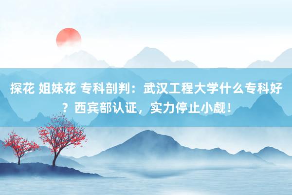 探花 姐妹花 专科剖判：武汉工程大学什么专科好？西宾部认证，实力停止小觑！