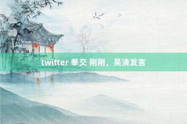 twitter 拳交 刚刚，吴清发言