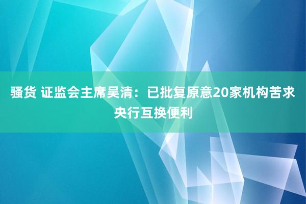 骚货 证监会主席吴清：已批复原意20家机构苦求央行互换便利