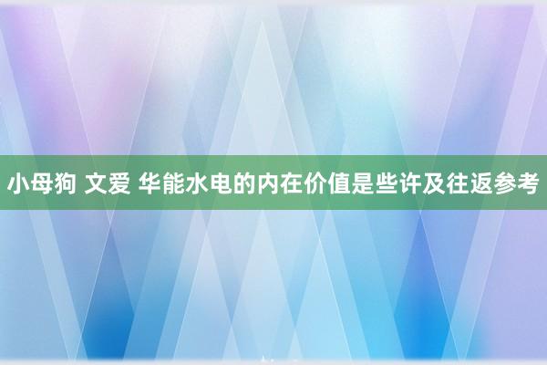 小母狗 文爱 华能水电的内在价值是些许及往返参考