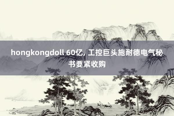 hongkongdoll 60亿， 工控巨头施耐德电气秘书要紧收购