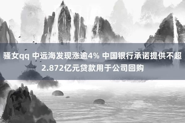 骚女qq 中远海发现涨逾4% 中国银行承诺提供不超2.872亿元贷款用于公司回购