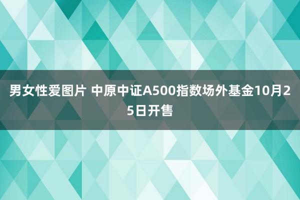 男女性爱图片 中原中证A500指数场外基金10月25日开售