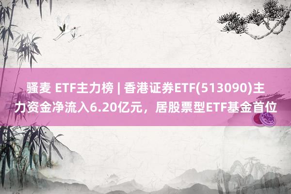 骚麦 ETF主力榜 | 香港证券ETF(513090)主力资金净流入6.20亿元，居股票型ETF基金首位