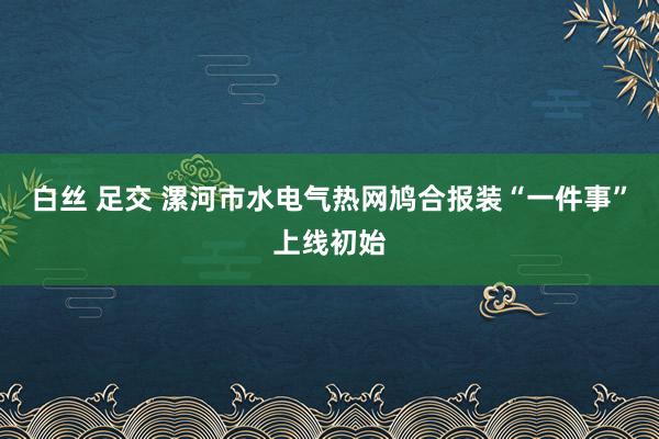 白丝 足交 漯河市水电气热网鸠合报装“一件事”上线初始