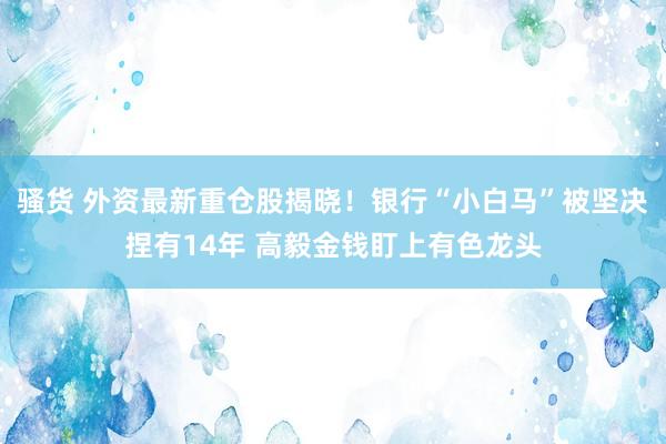 骚货 外资最新重仓股揭晓！银行“小白马”被坚决捏有14年 高毅金钱盯上有色龙头