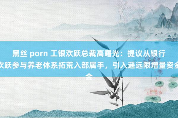 黑丝 porn 工银欢跃总裁高曙光：提议从银行欢跃参与养老体系拓荒入部属手，引入遥远限增量资金