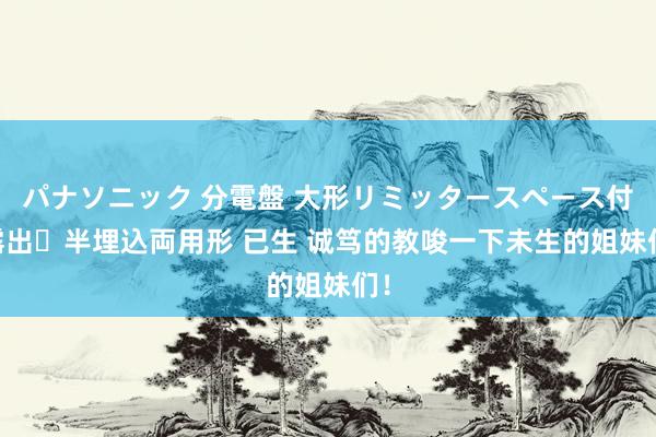 パナソニック 分電盤 大形リミッタースペース付 露出・半埋込両用形 已生 诚笃的教唆一下未生的姐妹们！