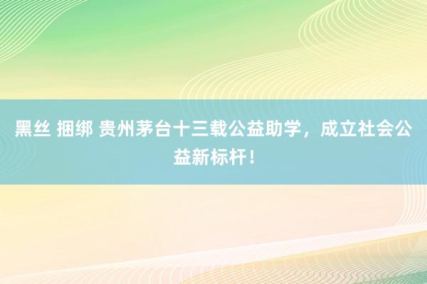 黑丝 捆绑 贵州茅台十三载公益助学，成立社会公益新标杆！