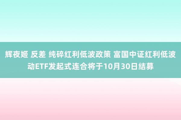 辉夜姬 反差 纯碎红利低波政策 富国中证红利低波动ETF发起式连合将于10月30日结募