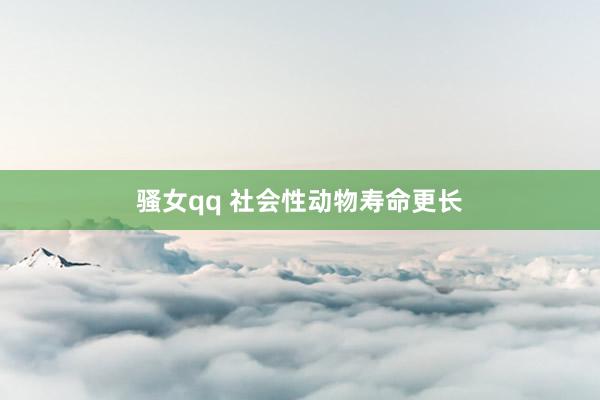 骚女qq 社会性动物寿命更长