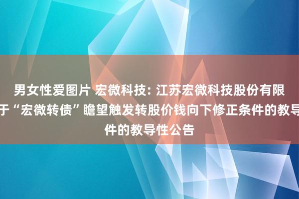 男女性爱图片 宏微科技: 江苏宏微科技股份有限公司对于“宏微转债”瞻望触发转股价钱向下修正条件的教导性公告