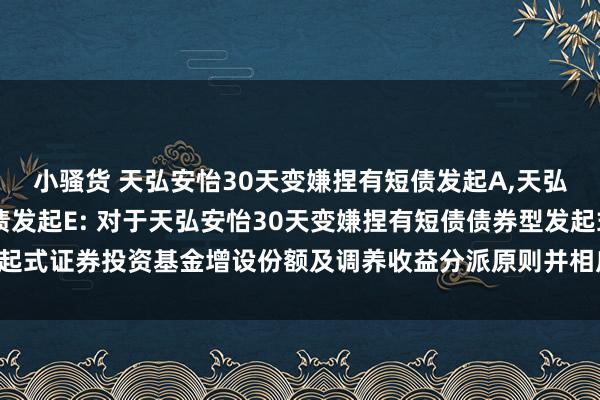 小骚货 天弘安怡30天变嫌捏有短债发起A，天弘安怡30天变嫌捏有短债发起E: 对于天弘安怡30天变嫌捏有短债债券型发起式证券投资基金增设份额及调养收益分派原则并相应修改干系法律文献的公告