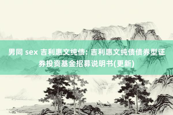 男同 sex 吉利惠文纯债: 吉利惠文纯债债券型证券投资基金招募说明书(更新)