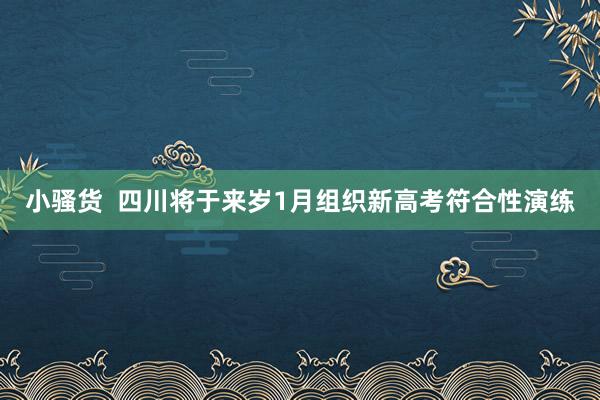 小骚货  四川将于来岁1月组织新高考符合性演练