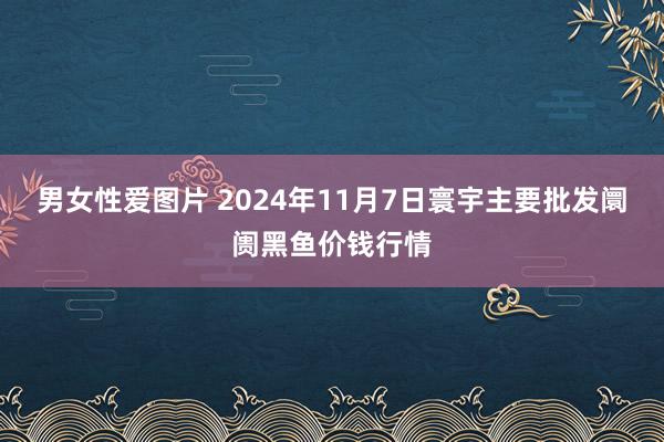 男女性爱图片 2024年11月7日寰宇主要批发阛阓黑鱼价钱行情